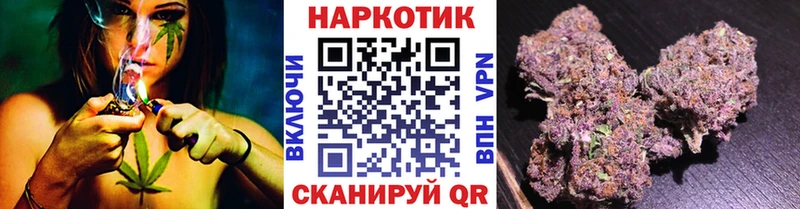 Какие есть наркотики Щёкино Alpha-PVP  Галлюциногенные грибы  Бошки Шишки  COCAIN  Меф мяу мяу 